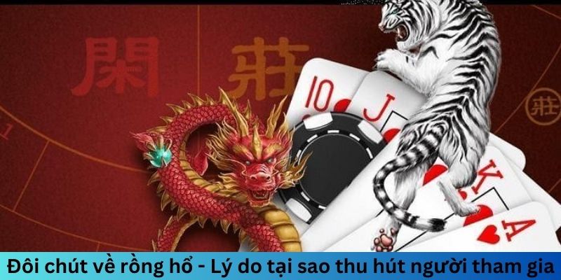 Đôi chút về rồng hổ - Lý do tại sao thu hút người tham gia