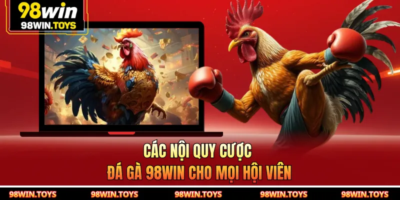 Các nội quy cược đá gà 98WIN cho mọi hội viên