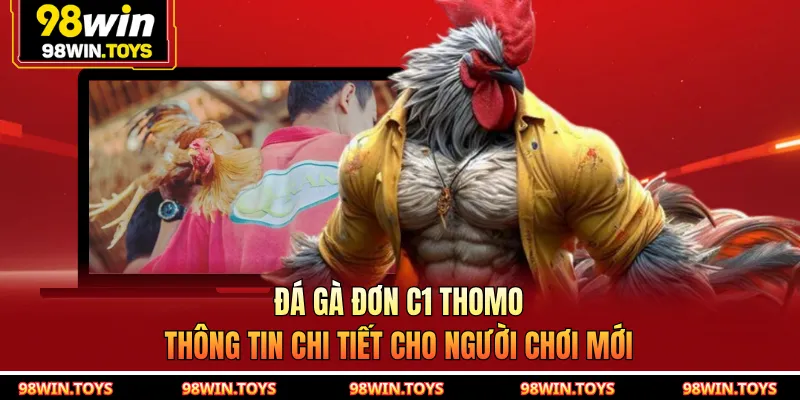 Đá Gà Đơn C1 Thomo - Thông Tin Chi Tiết Cho Người Chơi Mới