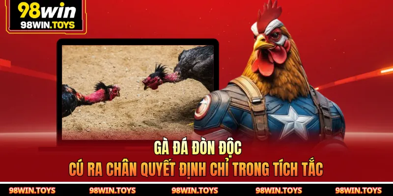 Gà Đá Đòn Độc - Cú Ra Chân Quyết Định Chỉ Trong Tích Tắc