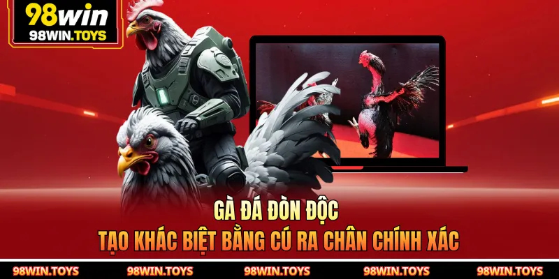 Gà đá đòn độc tạo khác biệt bằng cú ra chân chính xác