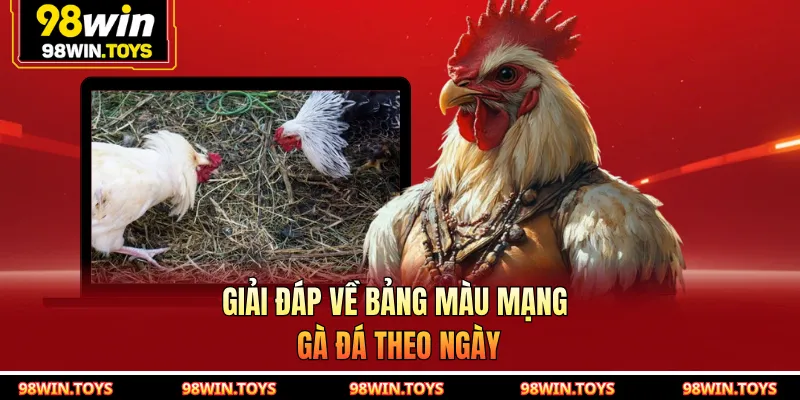 Giải đáp về bảng màu mạng gà đá theo ngày