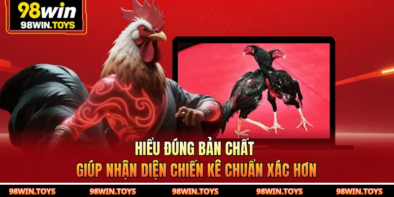 Hiểu đúng bản chất giúp nhận diện chiến kê chuẩn xác hơn