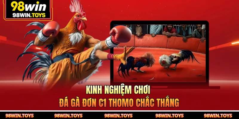 Kinh nghiệm chơi đá gà đơn C1 Thomo chắc thắng