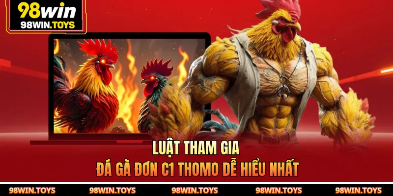 Luật tham gia đá gà đơn C1 Thomo dễ hiểu nhất