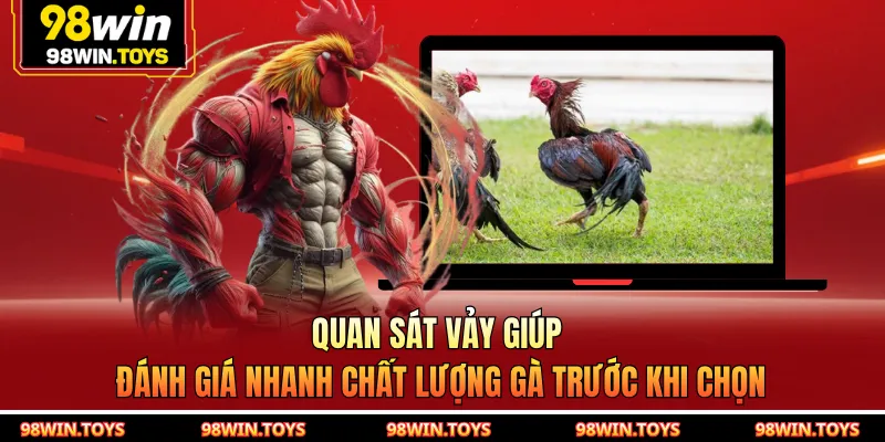 Quan sát vảy giúp đánh giá nhanh chất lượng gà trước khi chọn