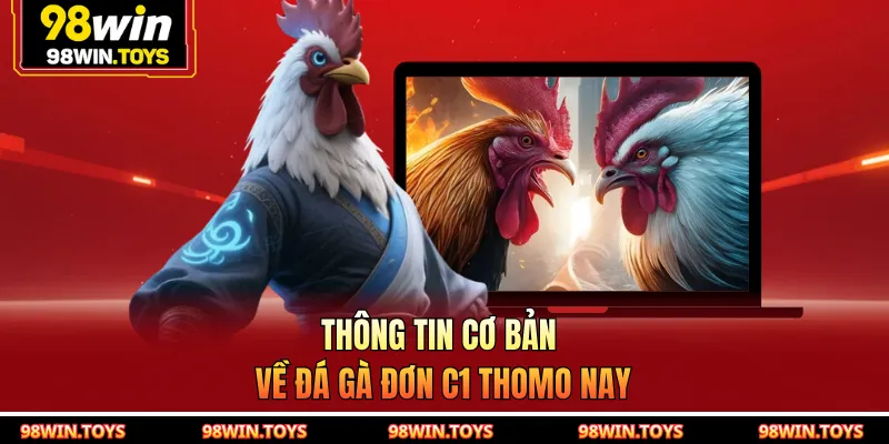 Thông tin cơ bản về đá gà đơn C1 Thomo nay